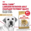 Չոր կեր շների համար «Royal Canin Labrador Retriever»  1կգ