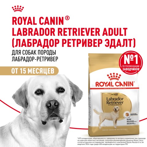 Չոր կեր շների համար «Royal Canin Labrador Retriever»  1կգ