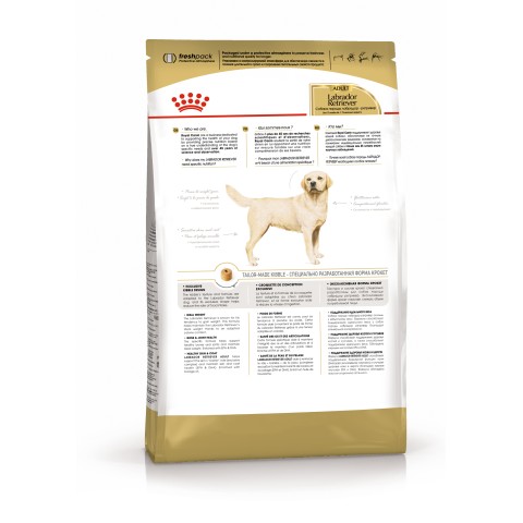 Չոր կեր շների համար «Royal Canin Labrador Retriever»  1կգ