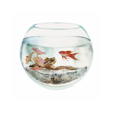 Ակվարիում մեծ