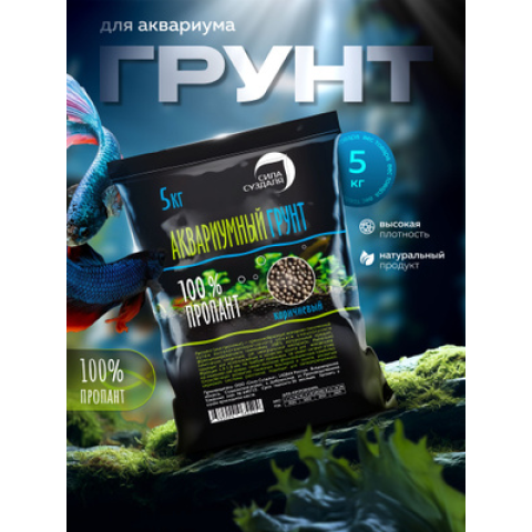 Ակվարիումի հող