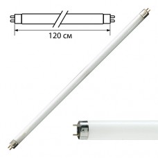 Լամպ լյումինիսցենտ 36W 120 սմ․