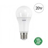 Լամպ լուսադիոդային (LED) A60 20W E27 General