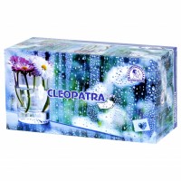 Անձեռոցիկներ Cleopatra երկշերտ 200 հատ
