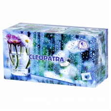 Անձեռոցիկներ Cleopatra երկշերտ 200 հատ