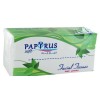 Անձեռոցիկներ Papyrus երկշերտ 200 հատ Անձեռոցիկներ Papyrus երկշերտ 200 հատ
