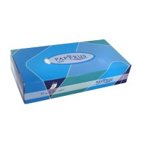 Անձեռոցիկներ Papyrus երկշերտ 100 հատ